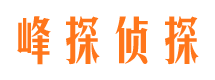 环翠市侦探公司